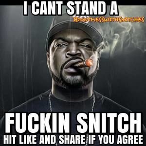 Meet your Posher, Hoolio